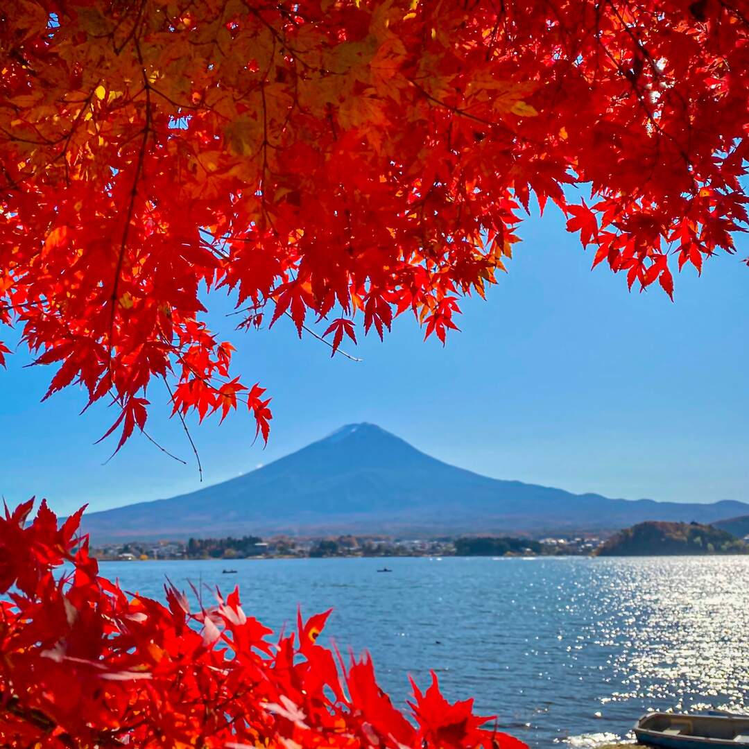 Japan