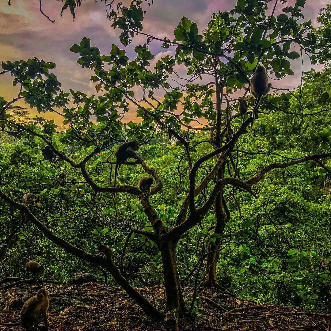 Indonesia