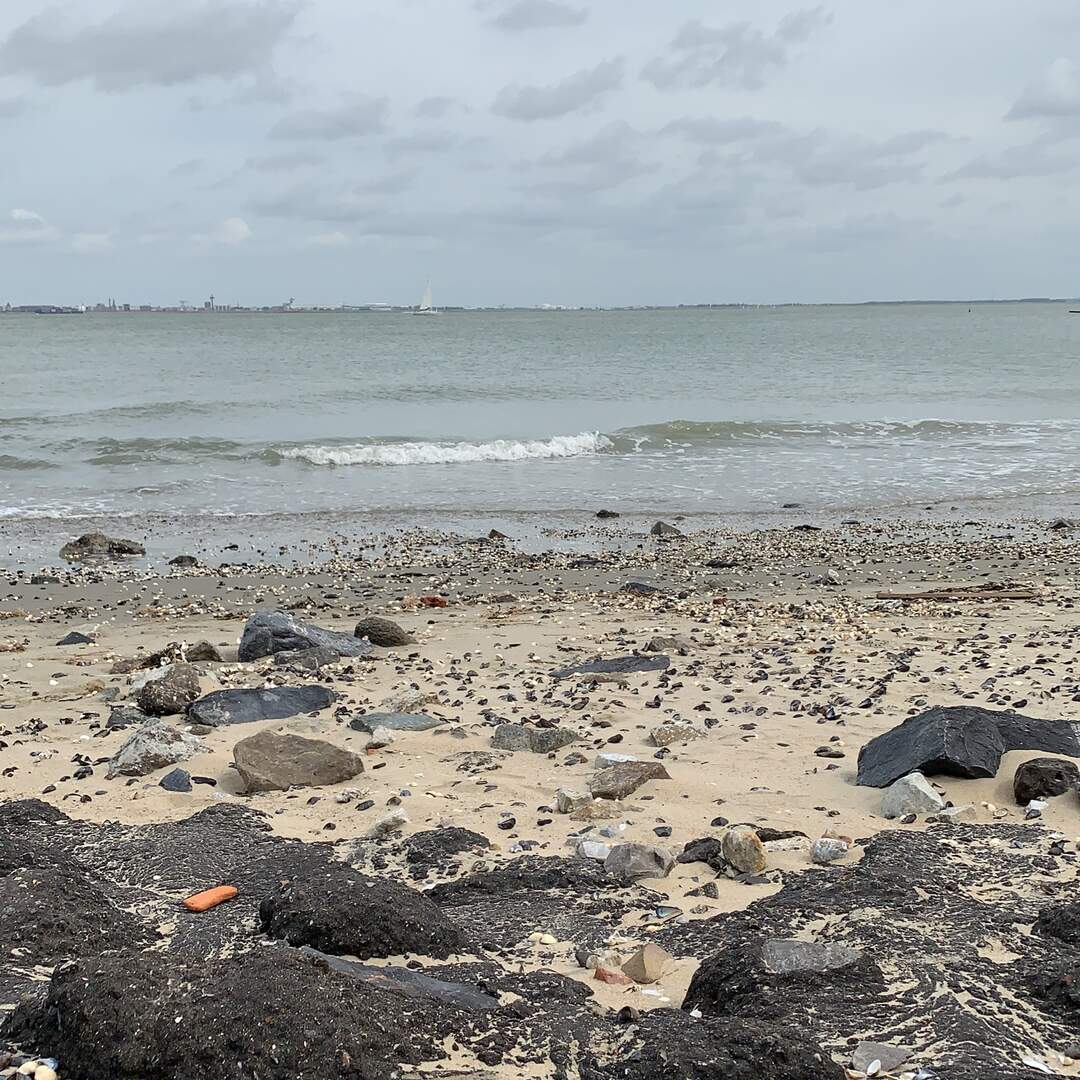 Breskens August 2019