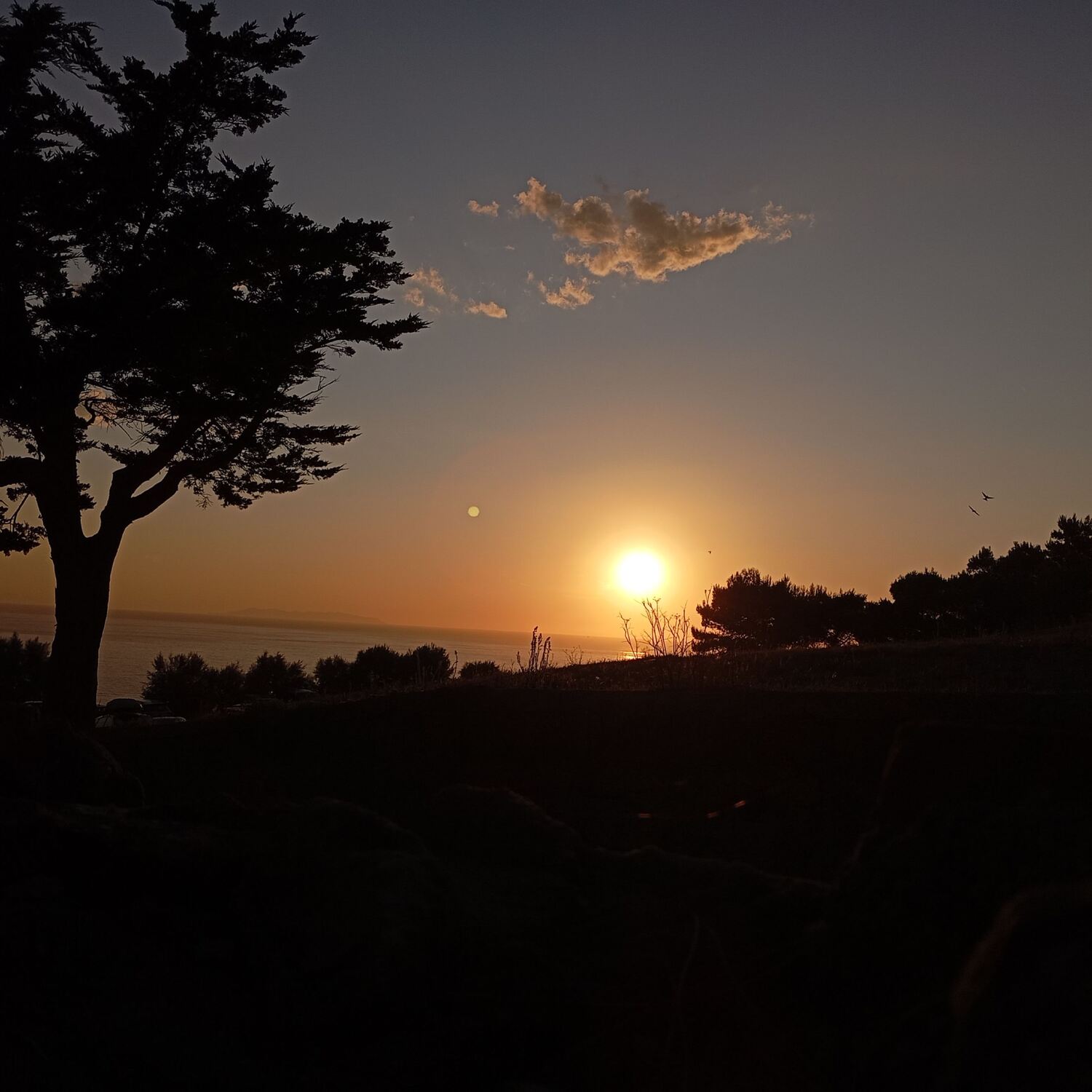 2025 Agosto Baratti