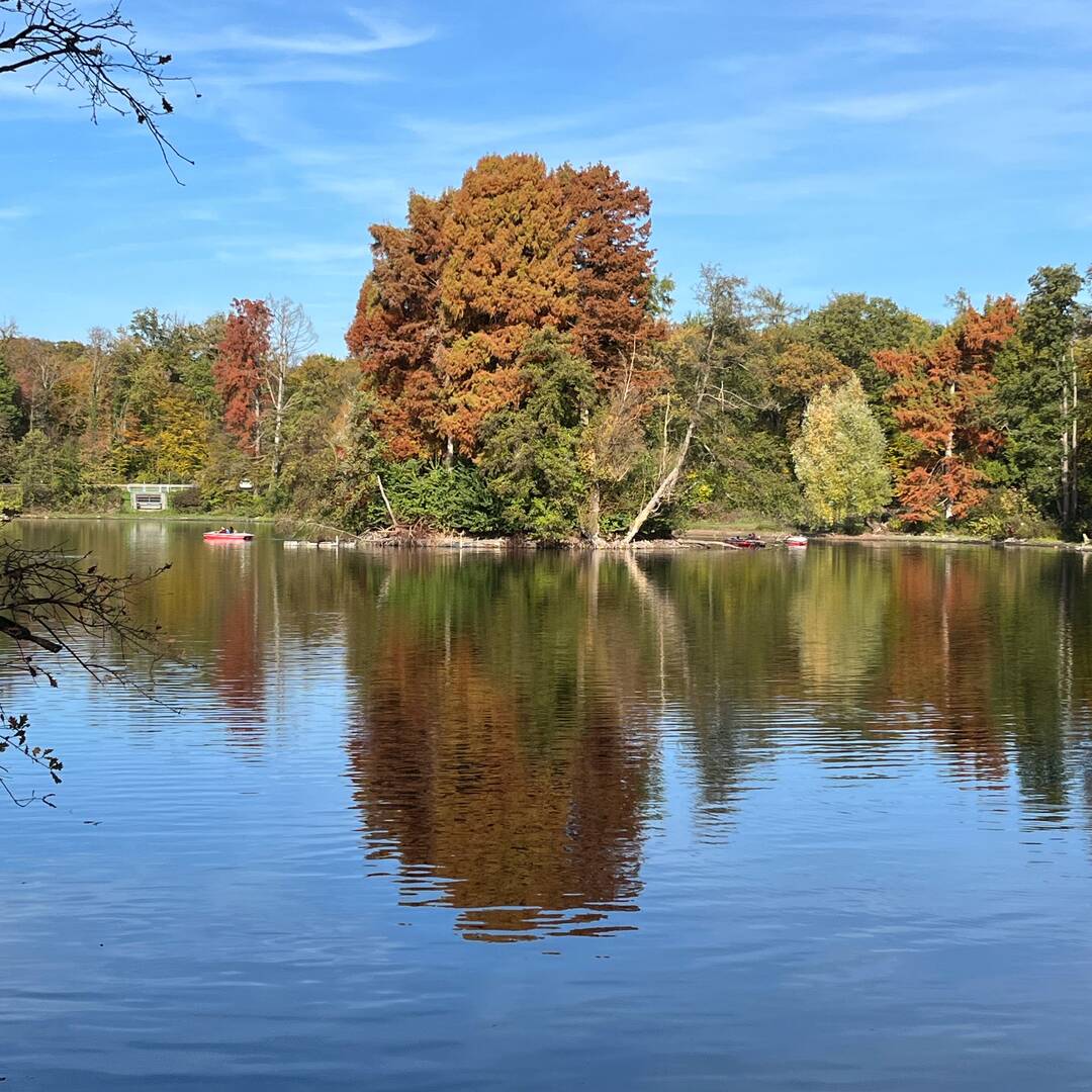 Herbst-Zeit-Reise