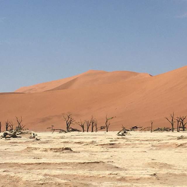 Abenteuer Namibia
