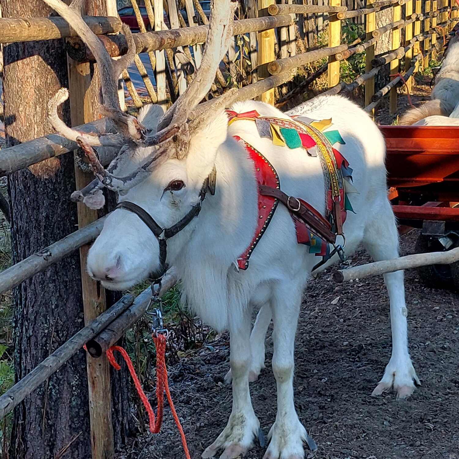 Mietwagenrundreise Finnland