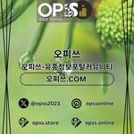 건대출장마사지 오피쓰주소.COM 건대출장샵