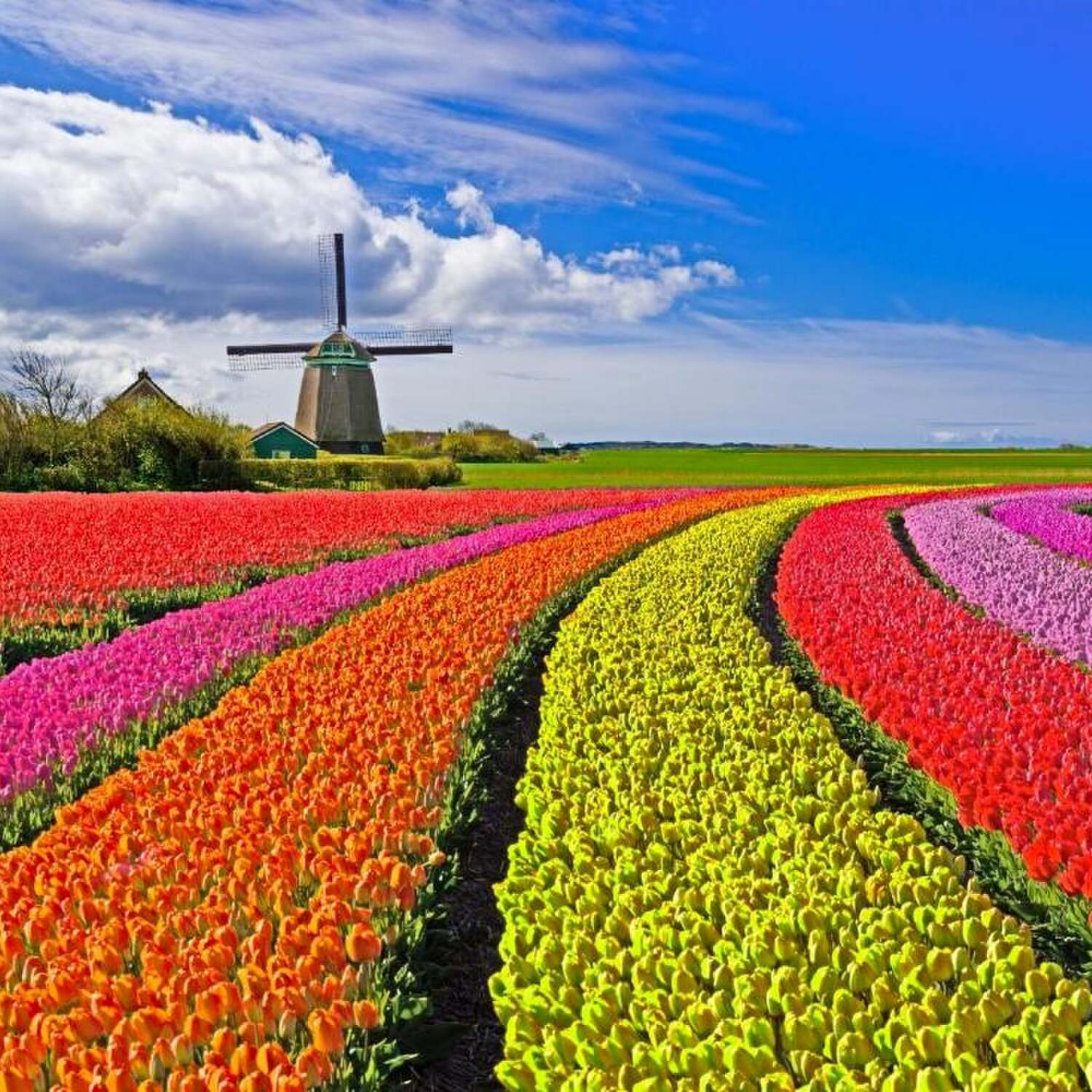 Noord-Holland