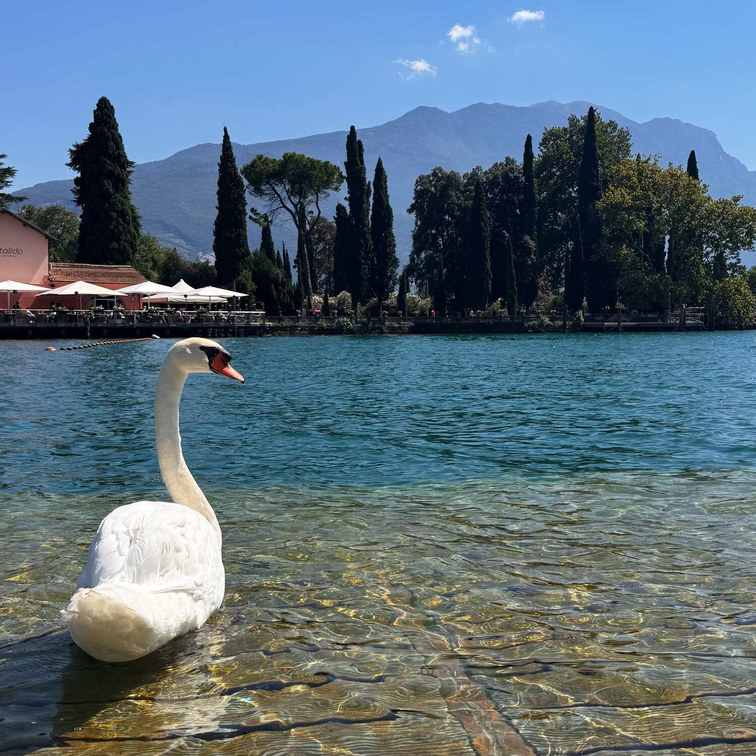 🇮🇹 Gavardo, Lombardei 25