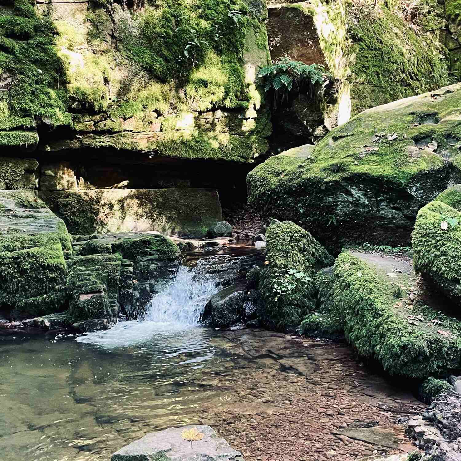 🇩🇪 Bad Liebenzell, BW 21