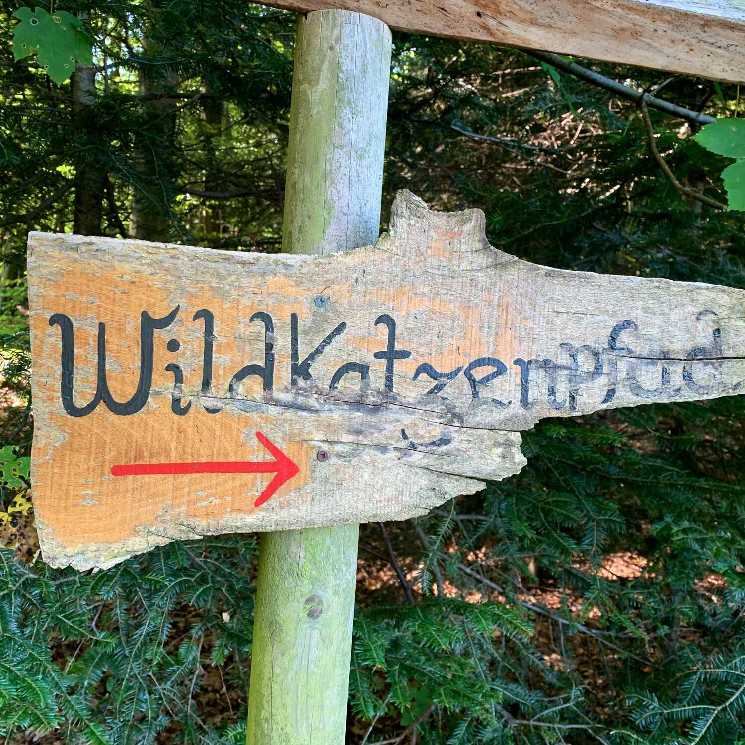 🇩🇪 Bad Herrenalb, BW 21