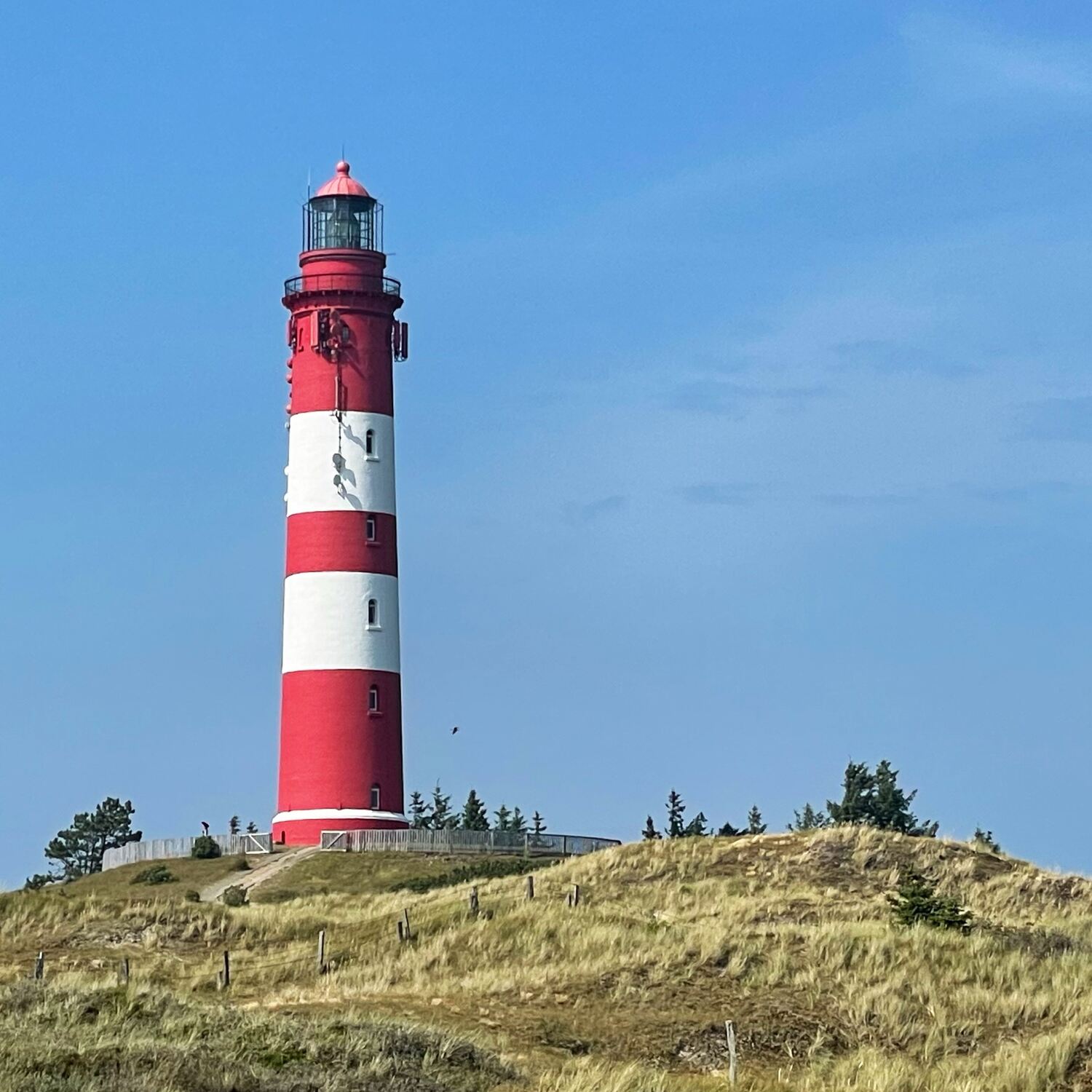 🇩🇪 🇩🇰 Flensburg, SH 21