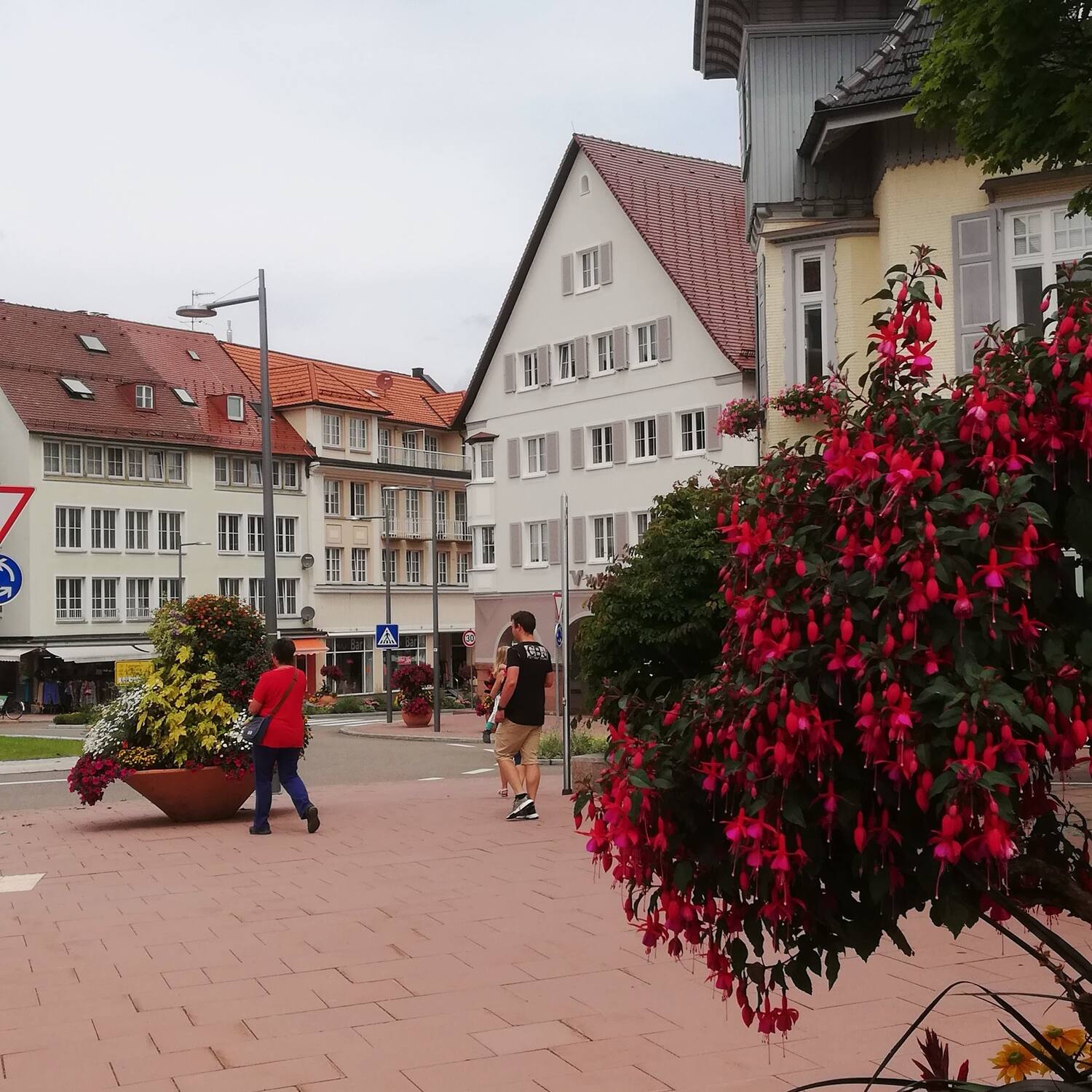 🇩🇪 Freudenstadt,BW 21
