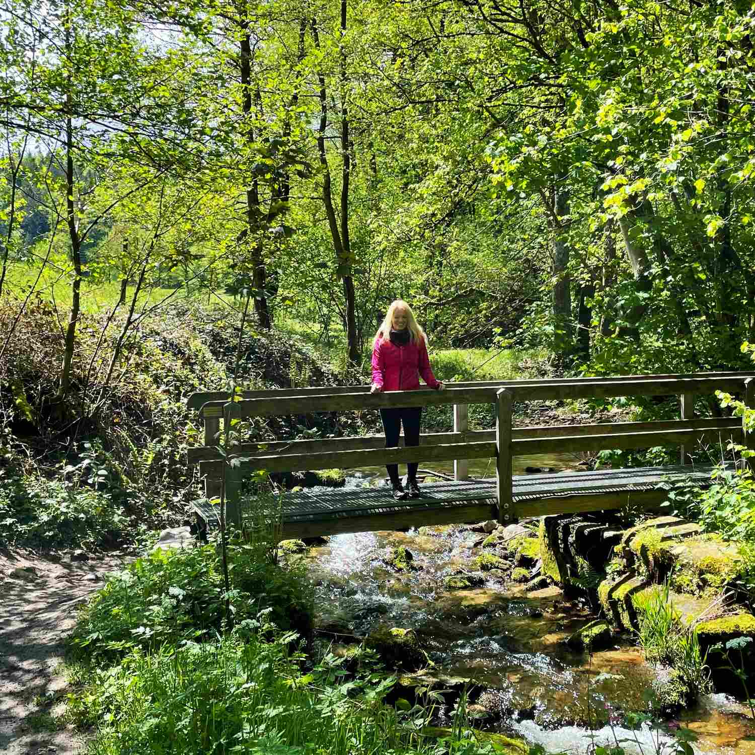 🇩🇪 Bad Herrenalb,BW 21