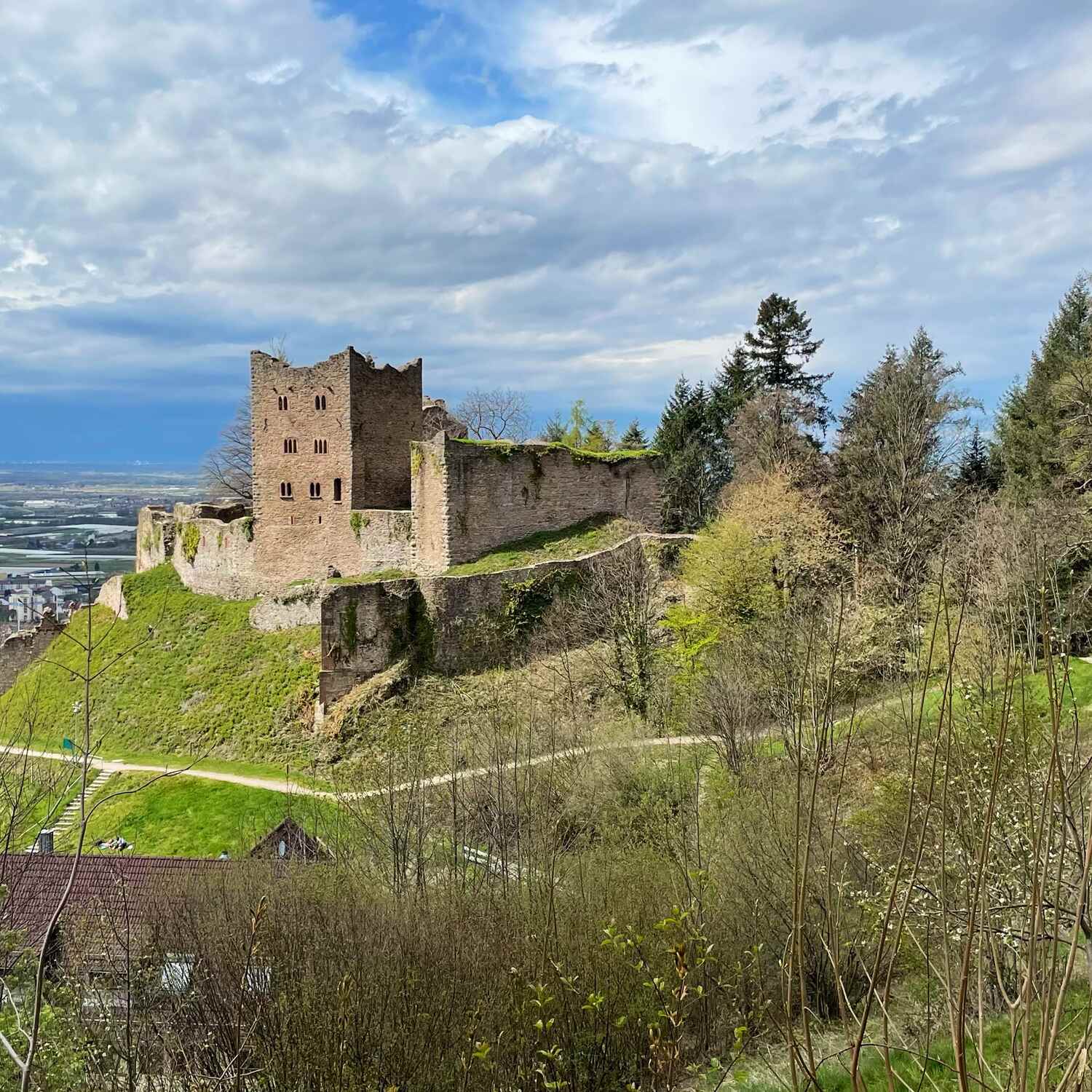 🇩🇪 Oberkirch,Baden-Württ. 21