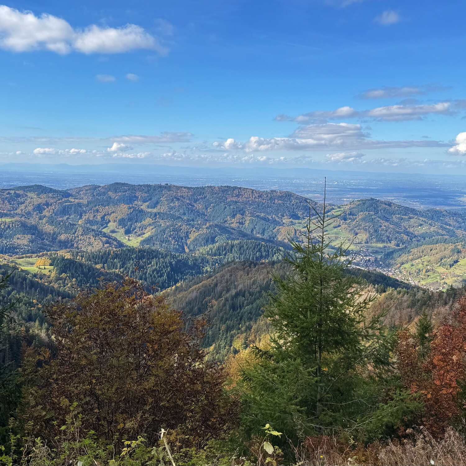🇩🇪 Ottenhöfen,Baden-Württ.25