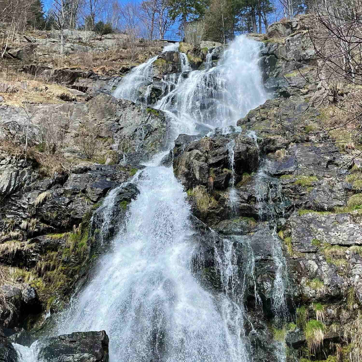 🇩🇪 Todtnau, Baden-Württ. 21