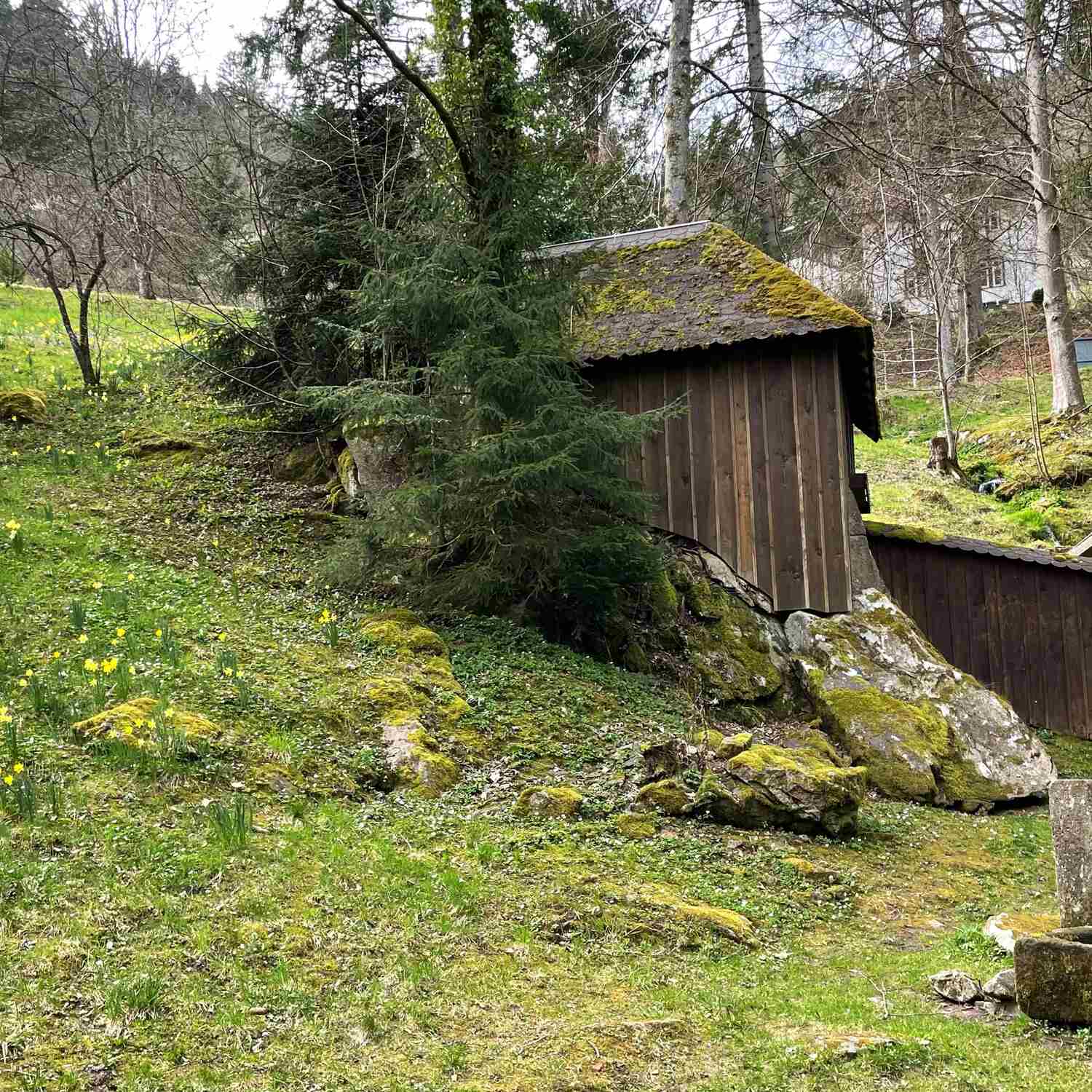 🇩🇪 Bad Wildbad, BW 21