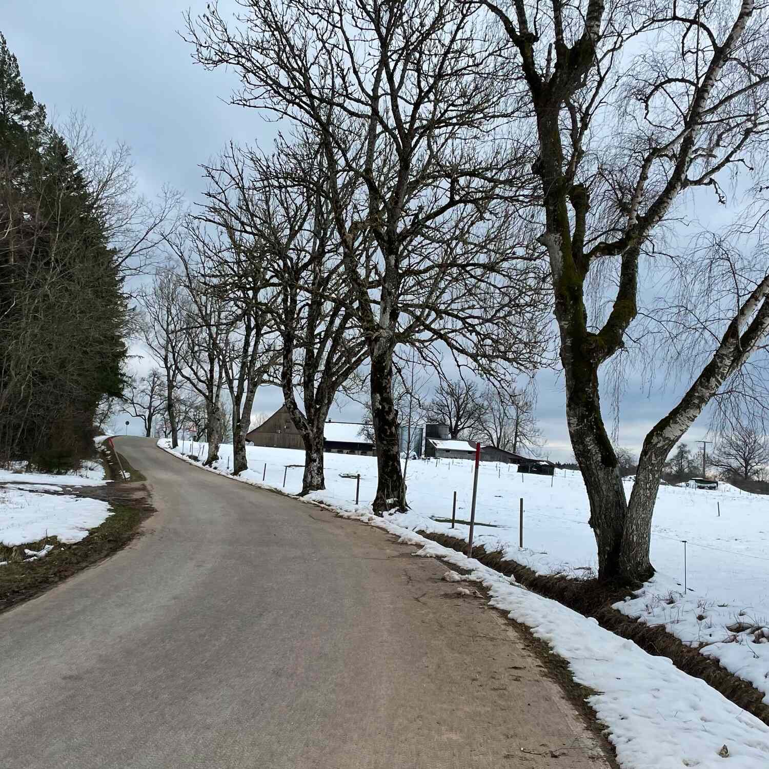 🇩🇪 Loßburg, Baden-Württ. 21