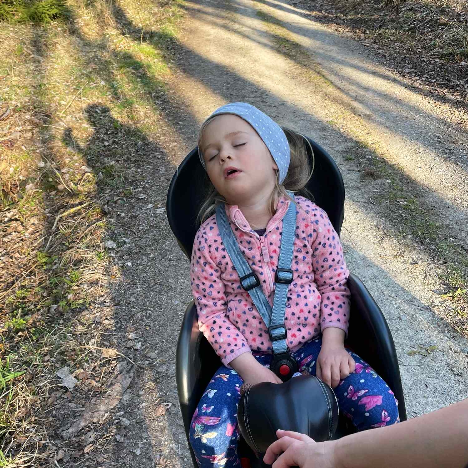 🇩🇪 Dornstetten,BW 21