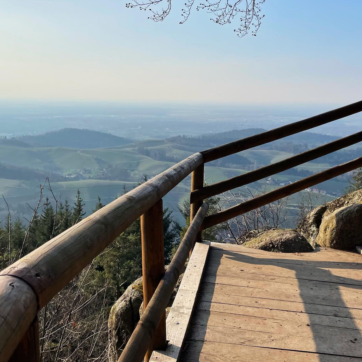 🇩🇪 Kappelrodeck, BW 21