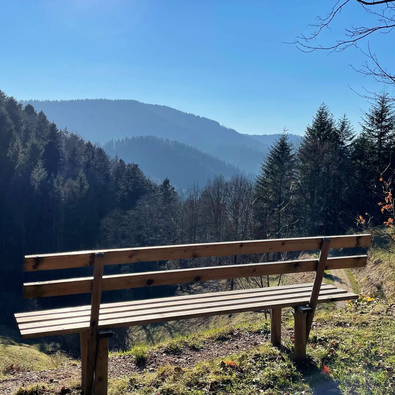 🇩🇪 BadPeterstal-Griesb.,BW21