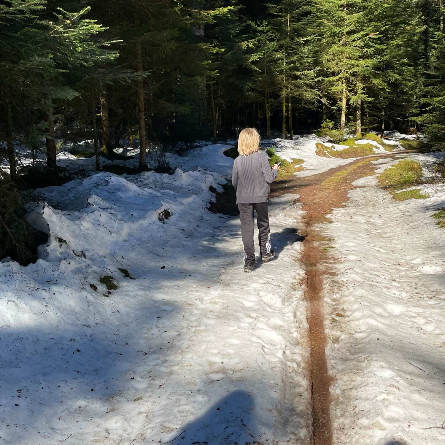 🇩🇪 Loßburg, BW 21