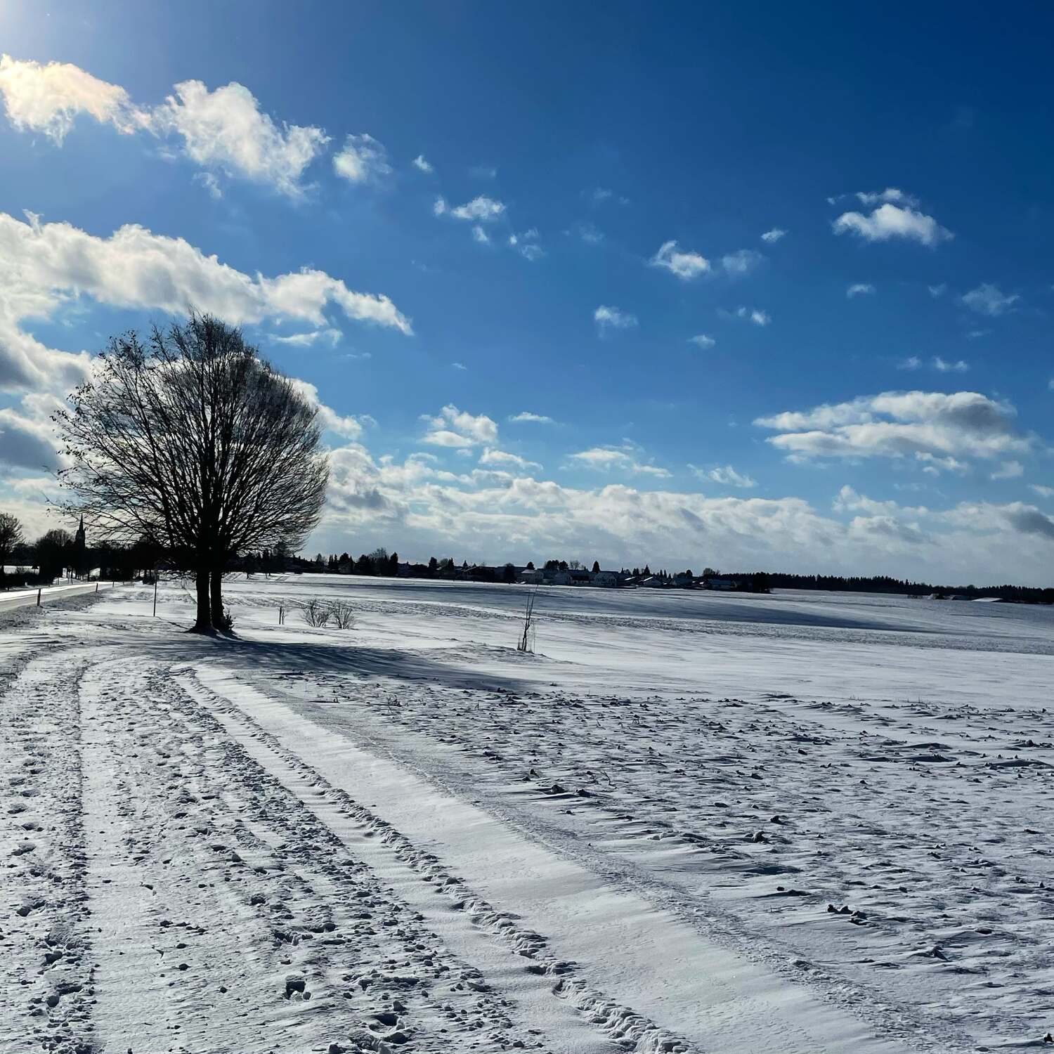 🇩🇪 Mötzingen, BW 21