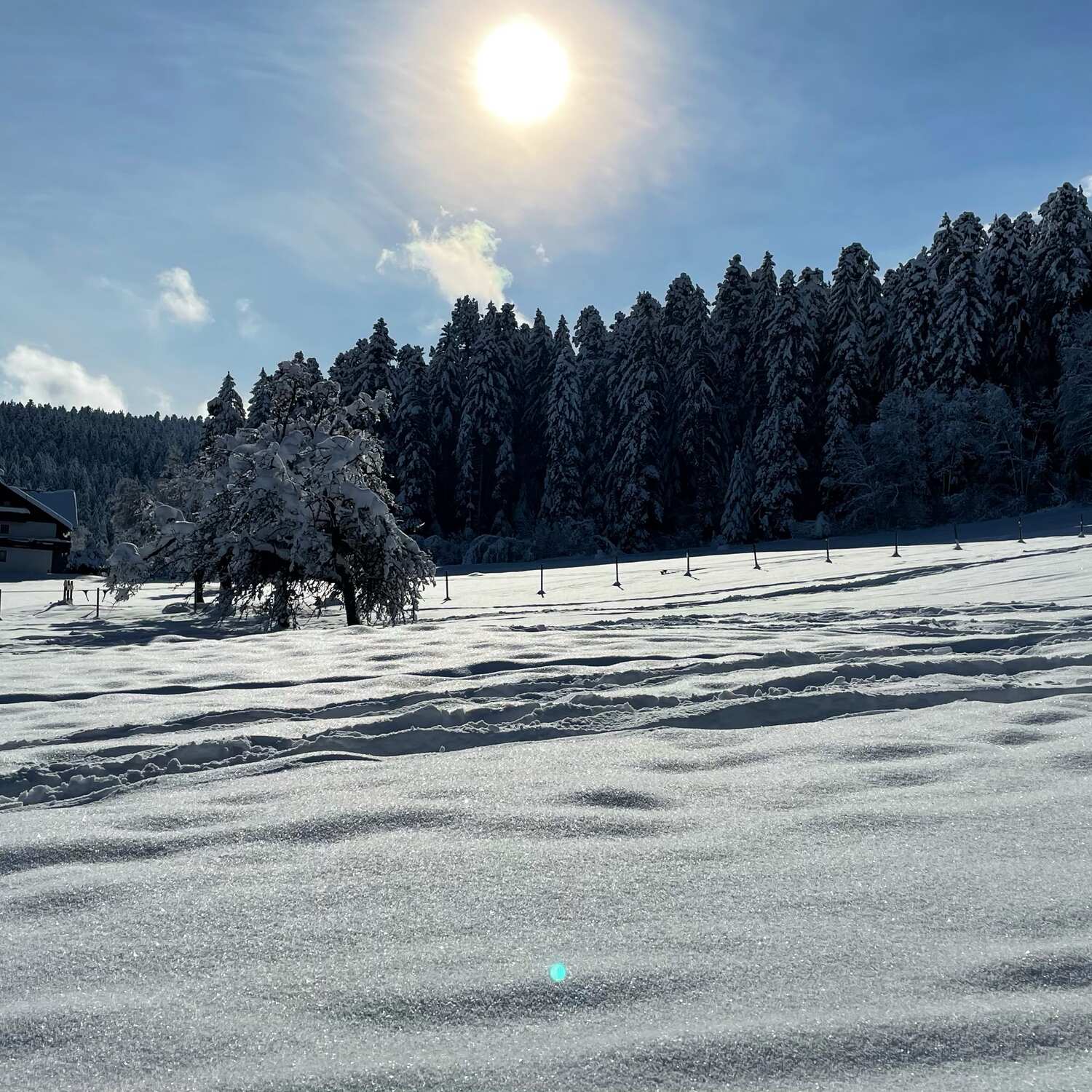 🇩🇪 Freudenstadt,Baden-W. 21