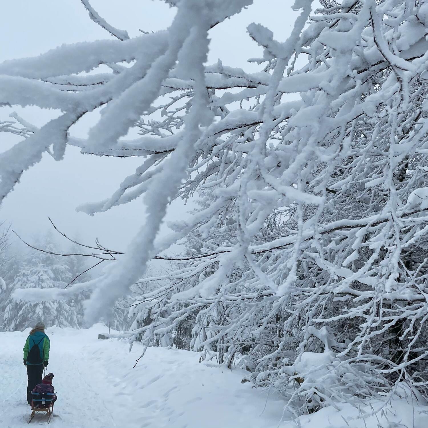 🇩🇪 Oppenau, Baden-Württ. 21