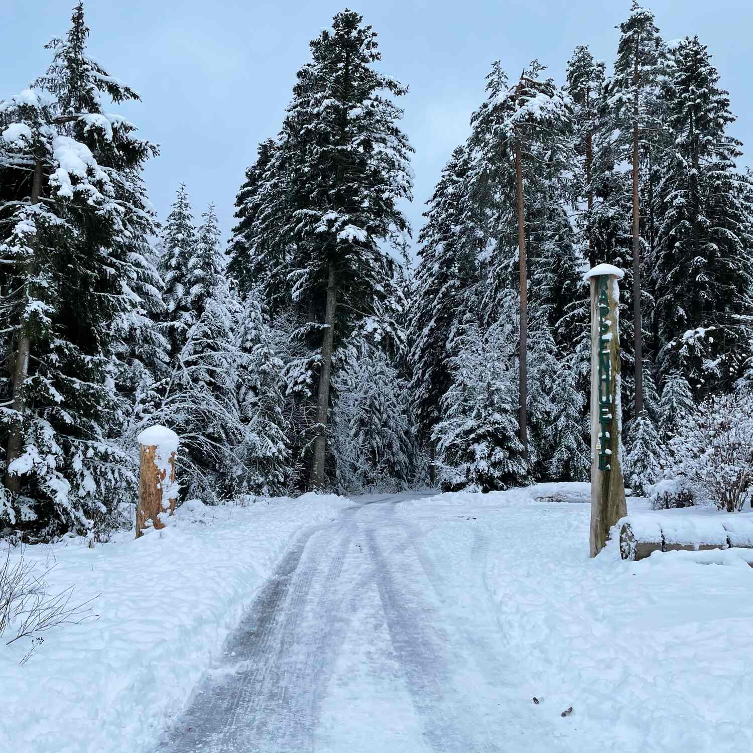 🇩🇪 Igelsberg, Baden-Württ.21