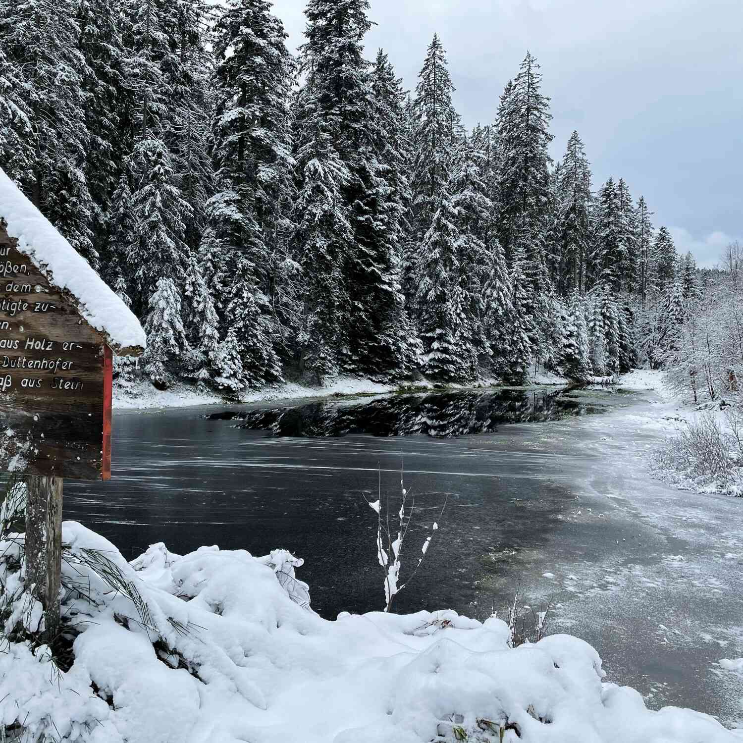 🇩🇪 Seewald, Baden-Württ. 20