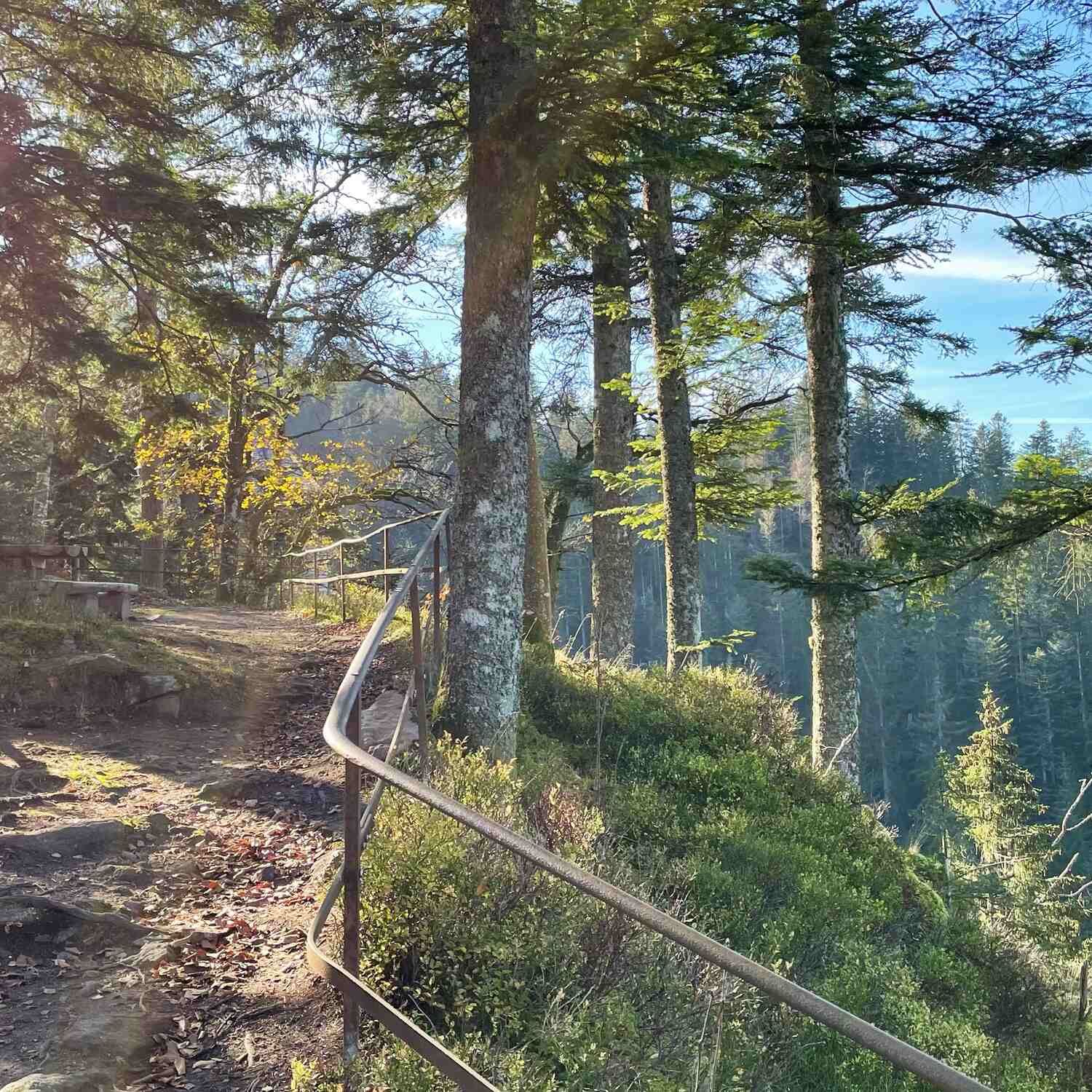 🇩🇪 Bad Rippoldsau, BW 20