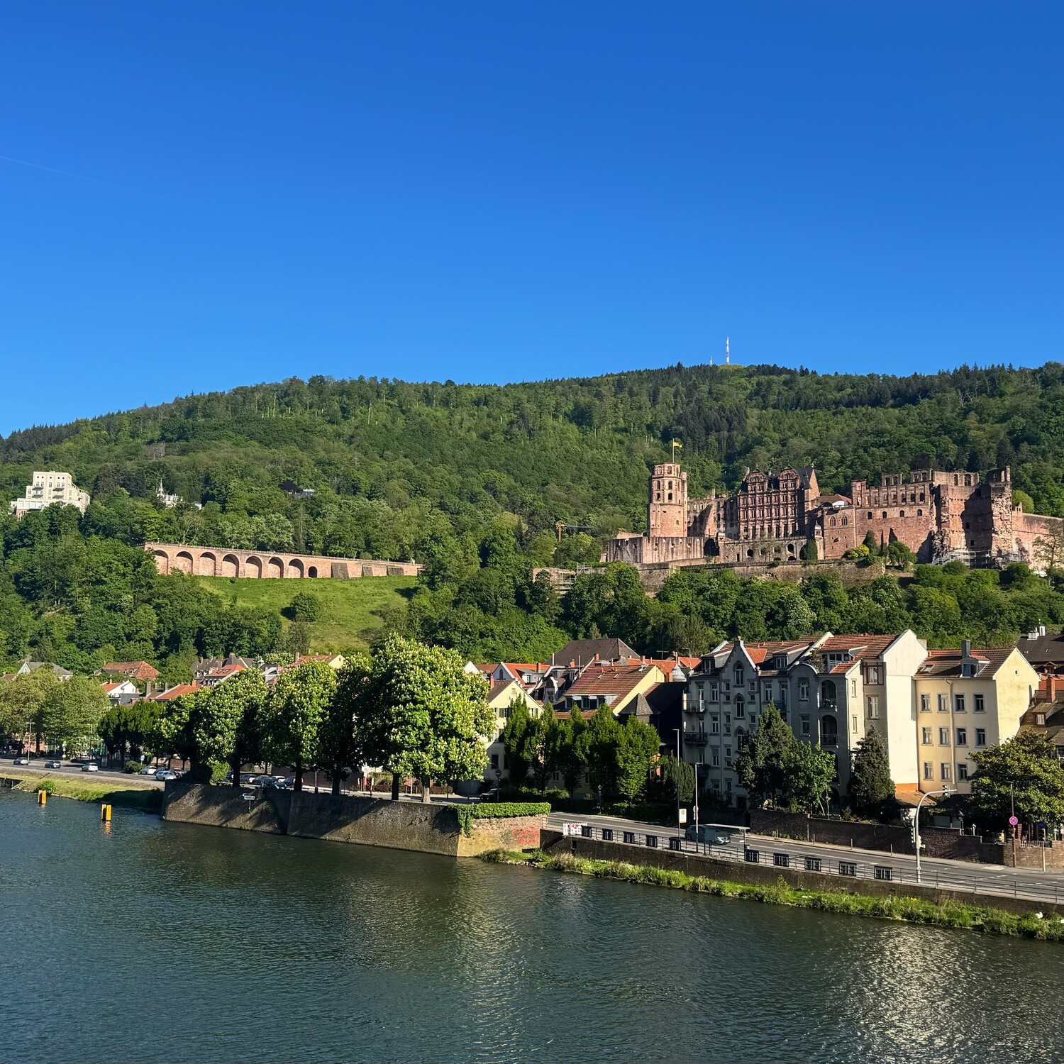 🇩🇪 Heidelberg, BW 26
