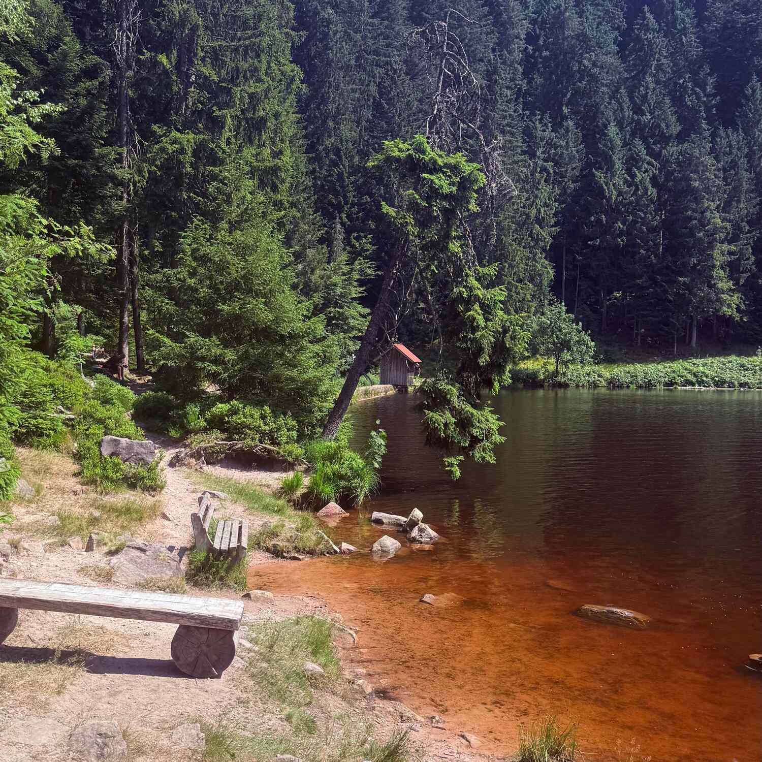🇩🇪 Ottenhöfen,Baden-Württ.26