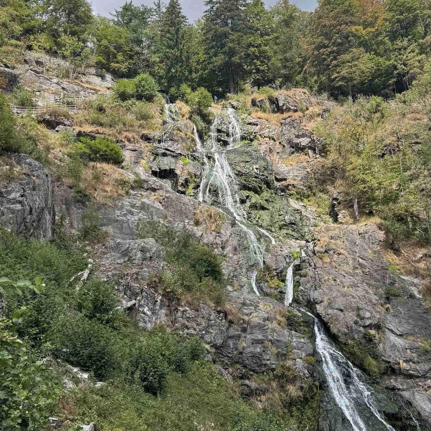 🇩🇪 Todtnau, Baden-Württ. 26