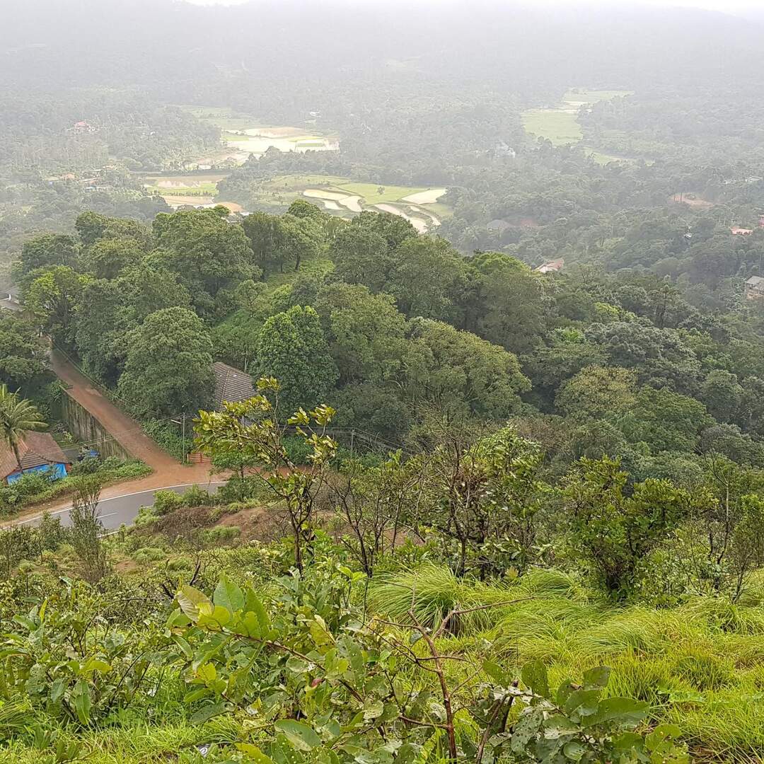 Coorg