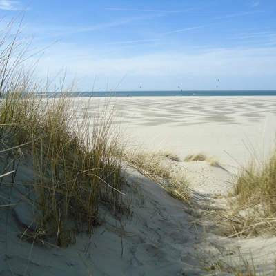 Holland