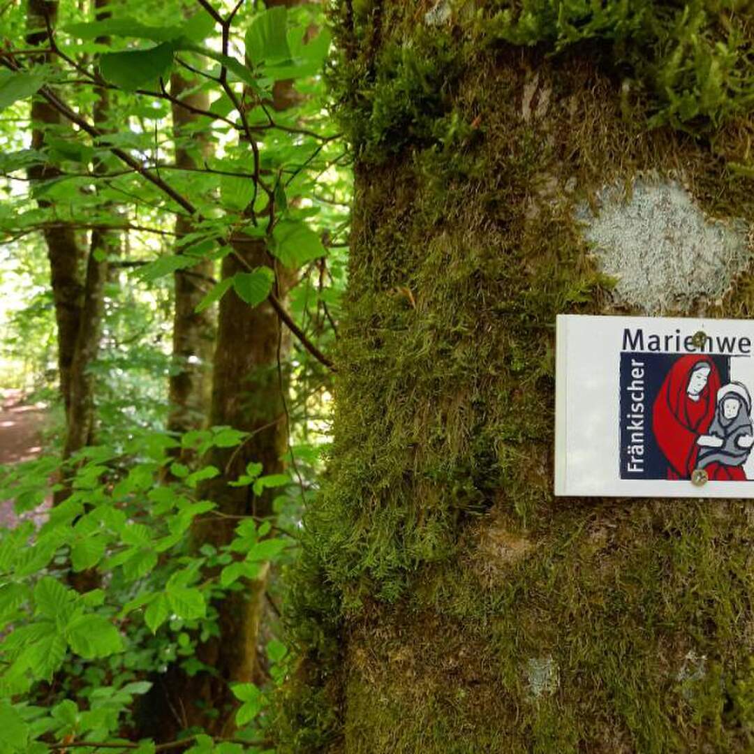 Oberes Püttlachtal