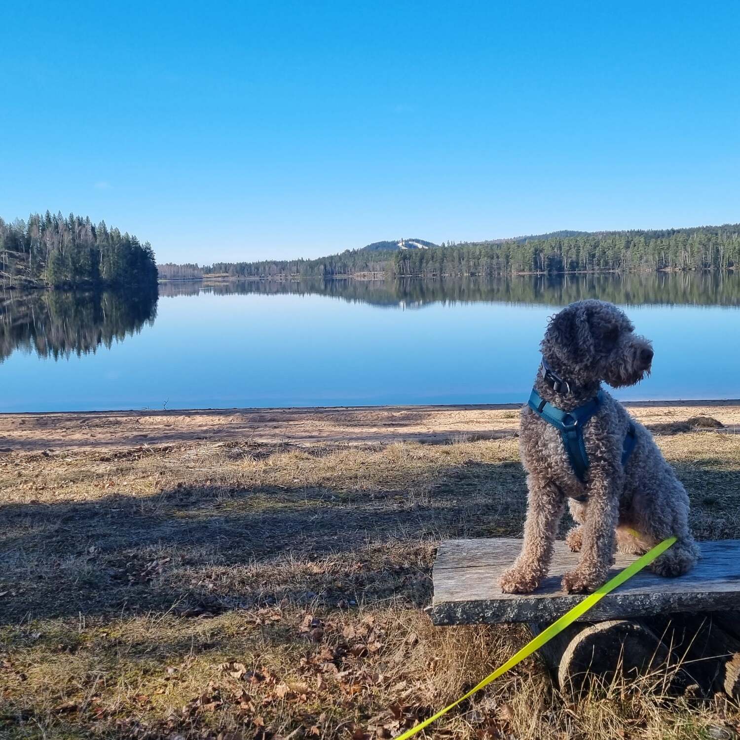 Schweden-Norwegen 2023