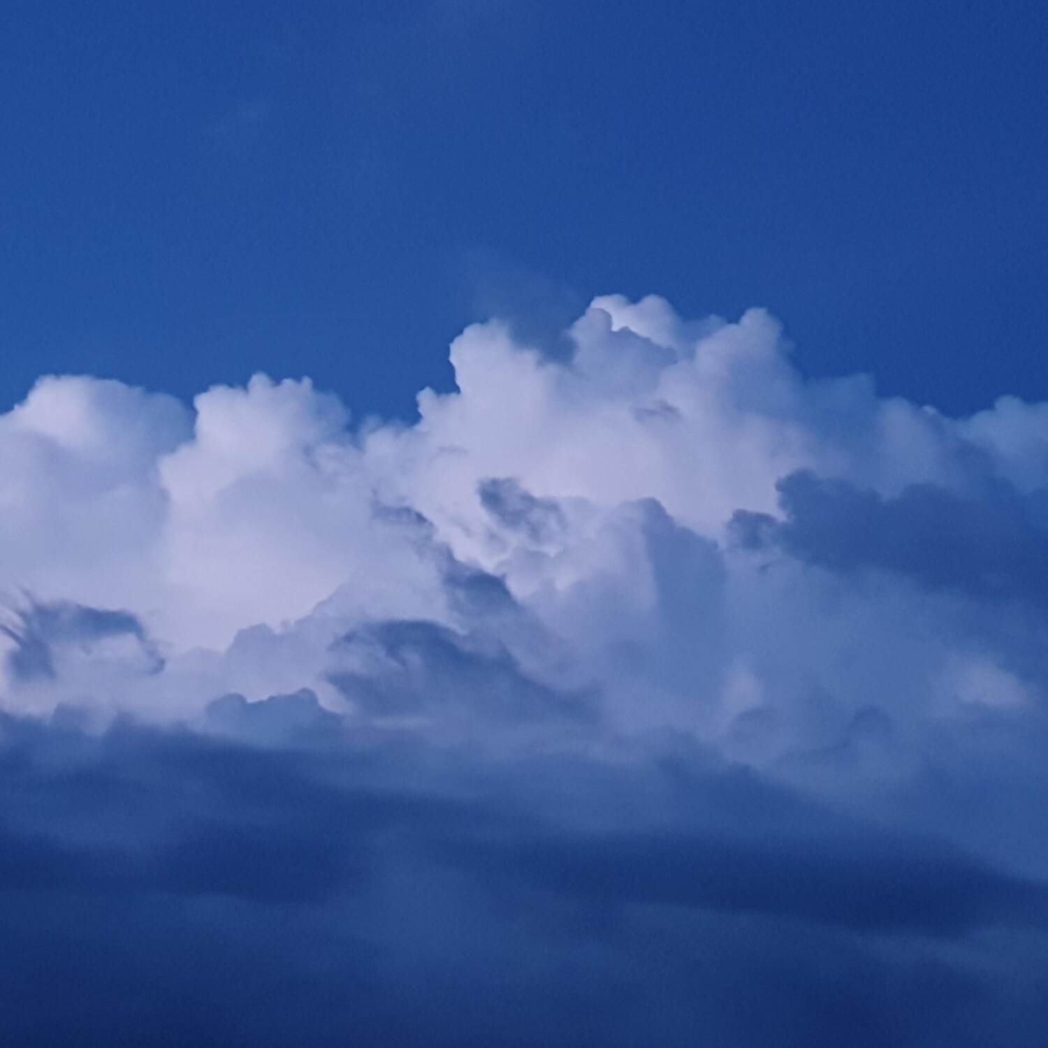 Fahrt ins Blaue