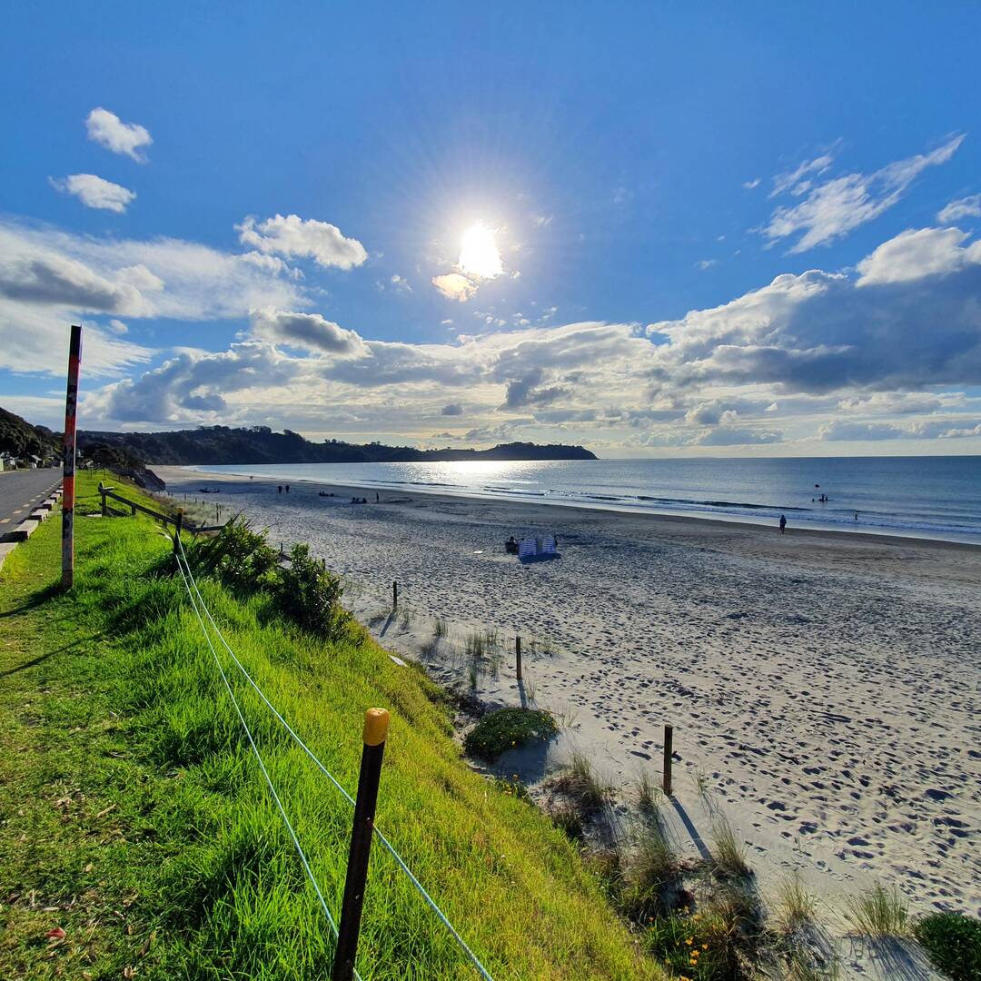 Wedding in New Zealand