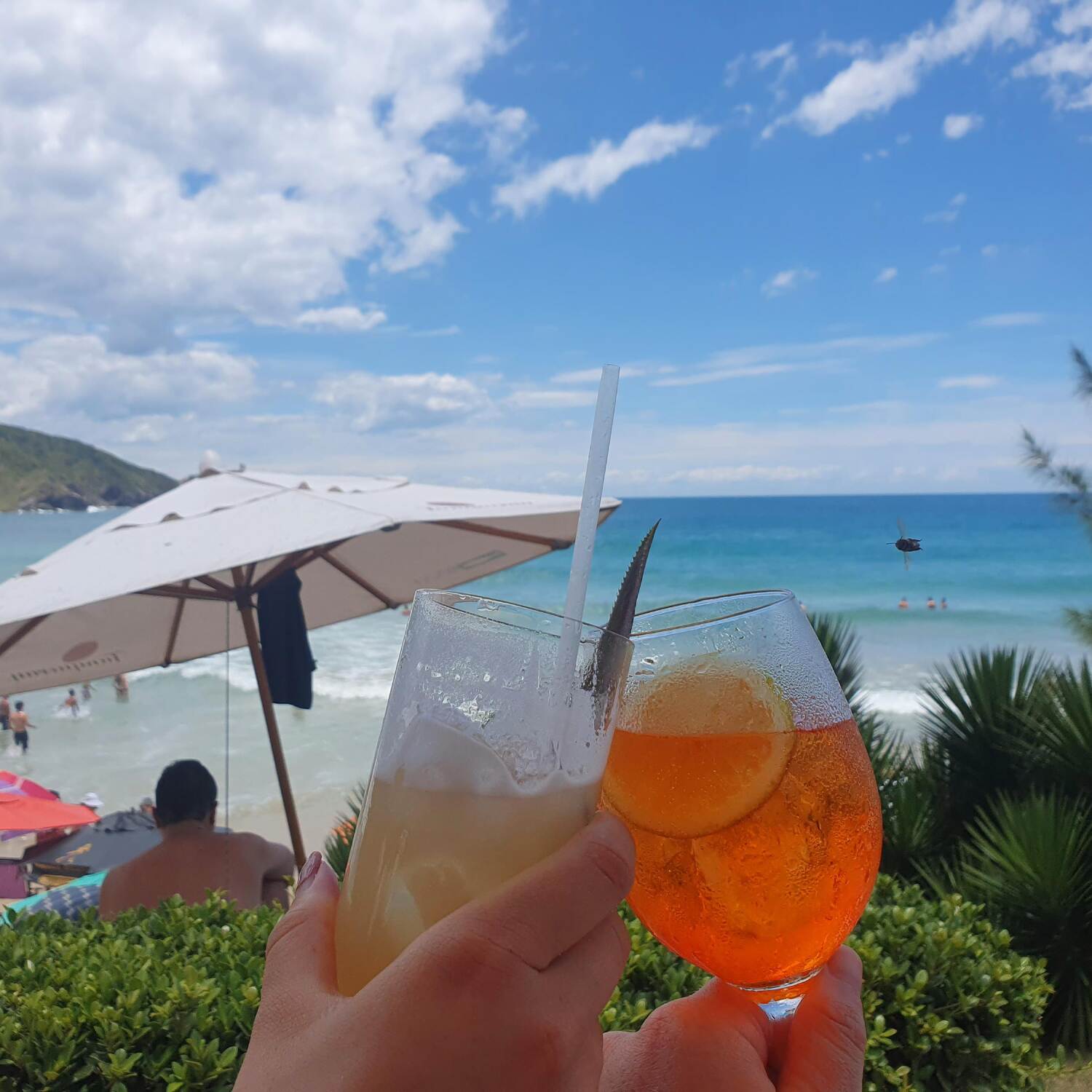 New Zealand & Sth America