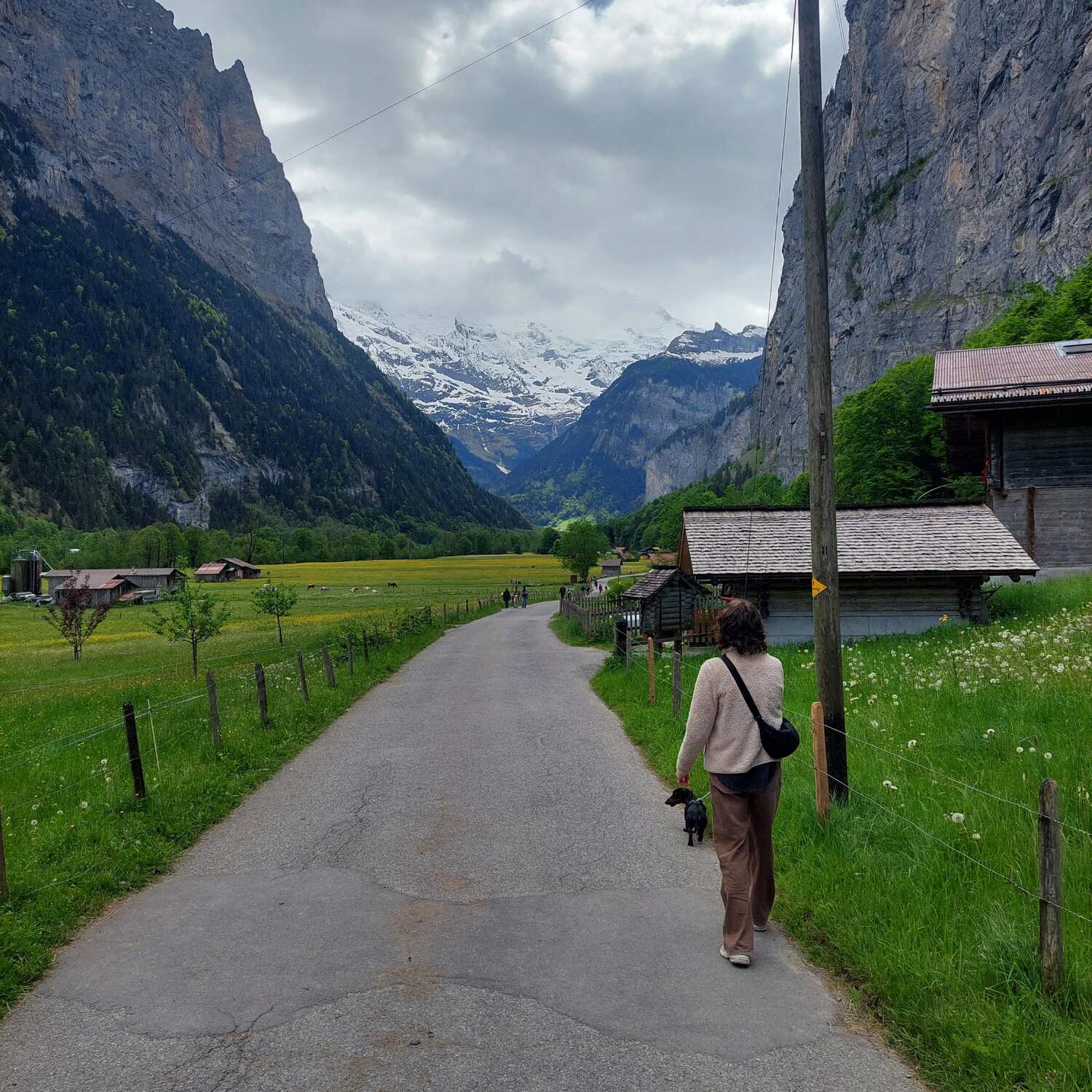 Secco in Schweiz und Italien