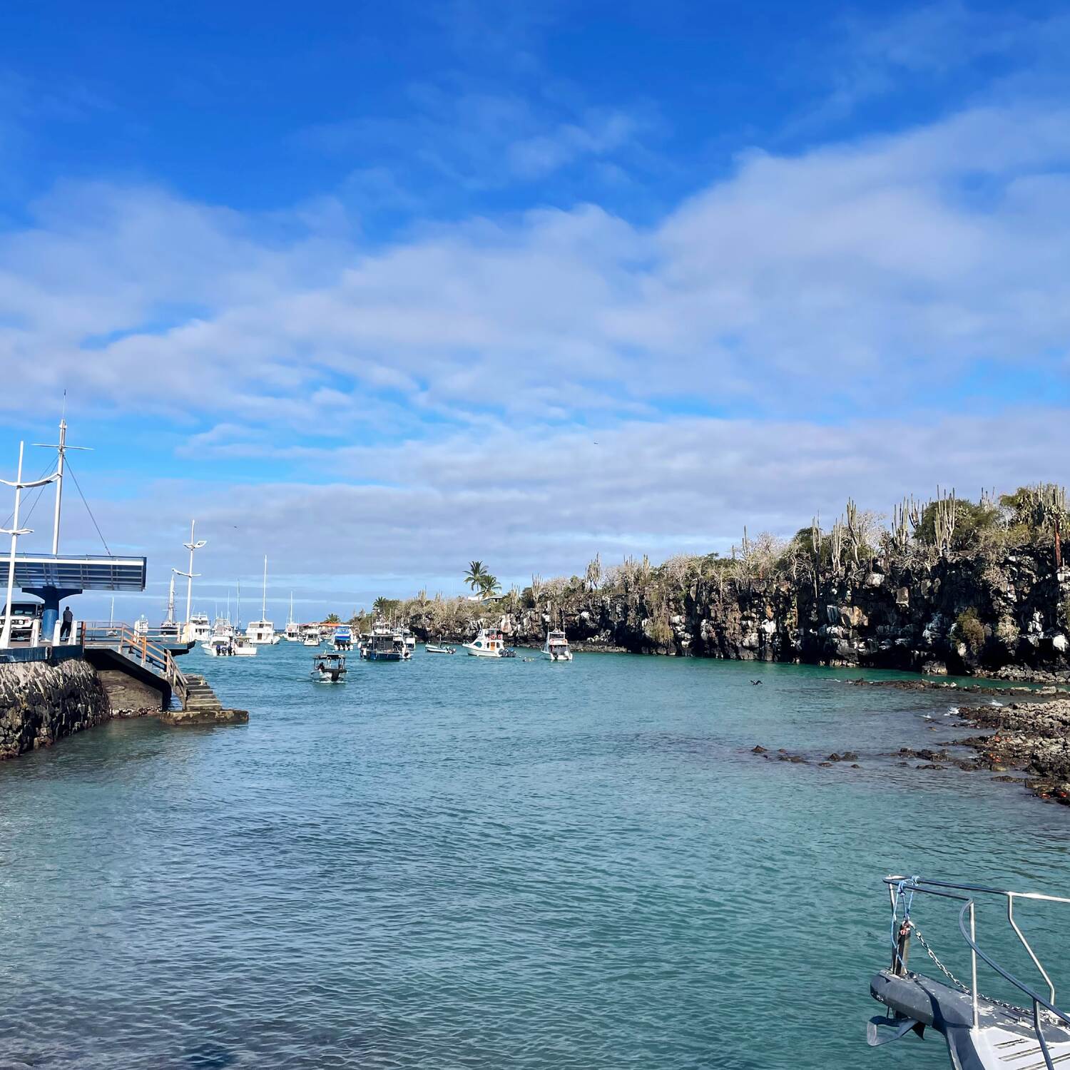 Galápagos