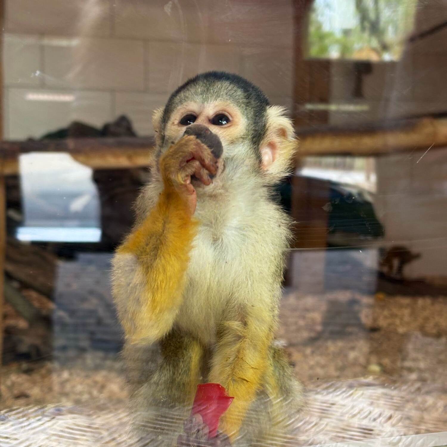 Tierpark Aachen