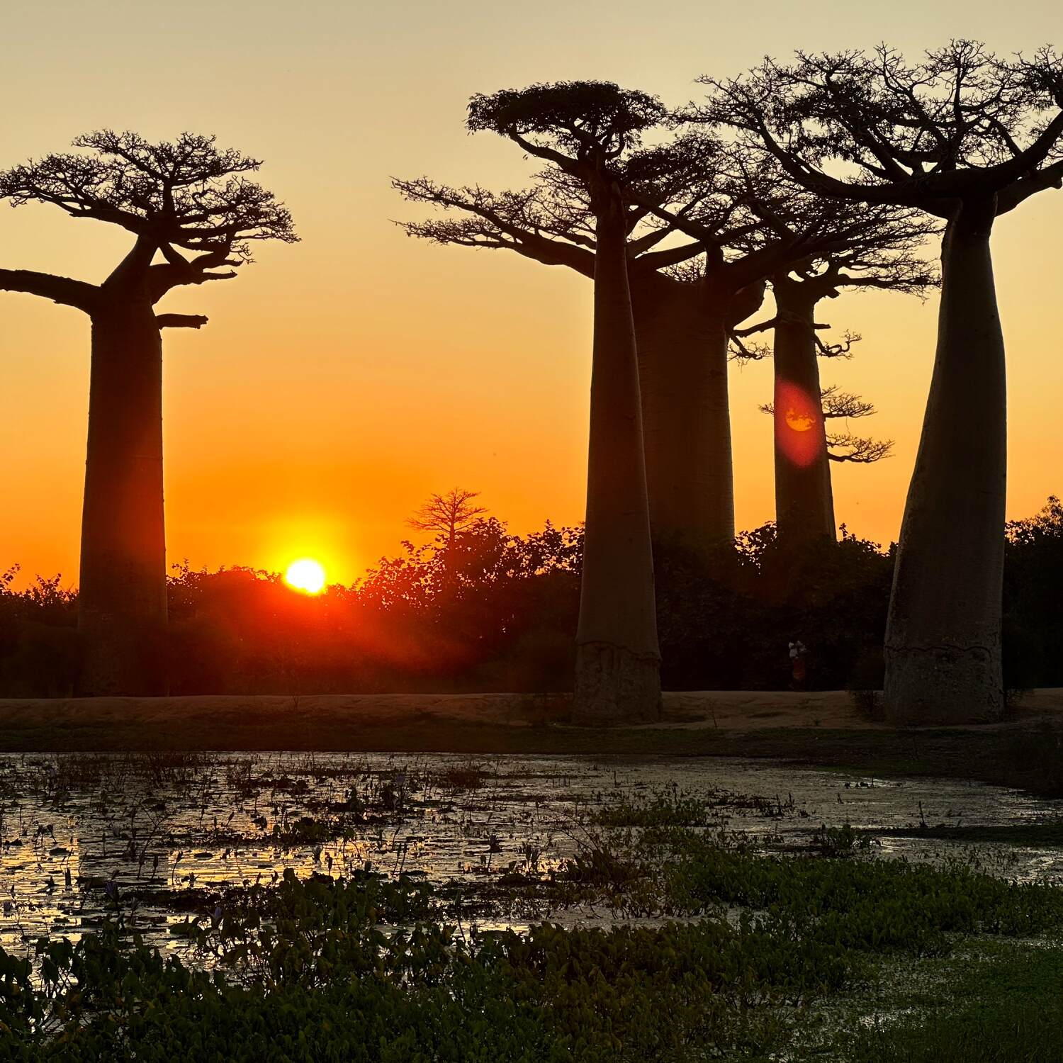 Madagaskar