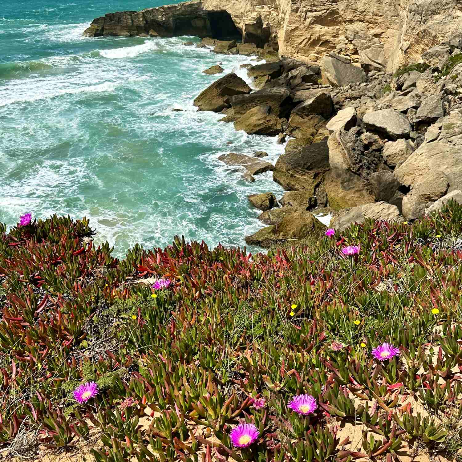 Portugal, Rota Vicentina