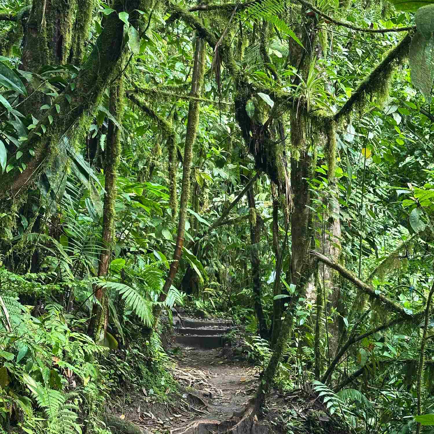 Costa Rica