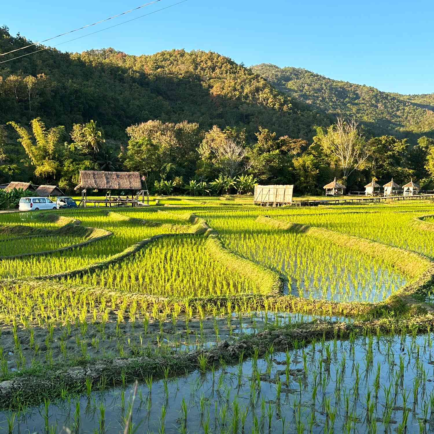 Laos