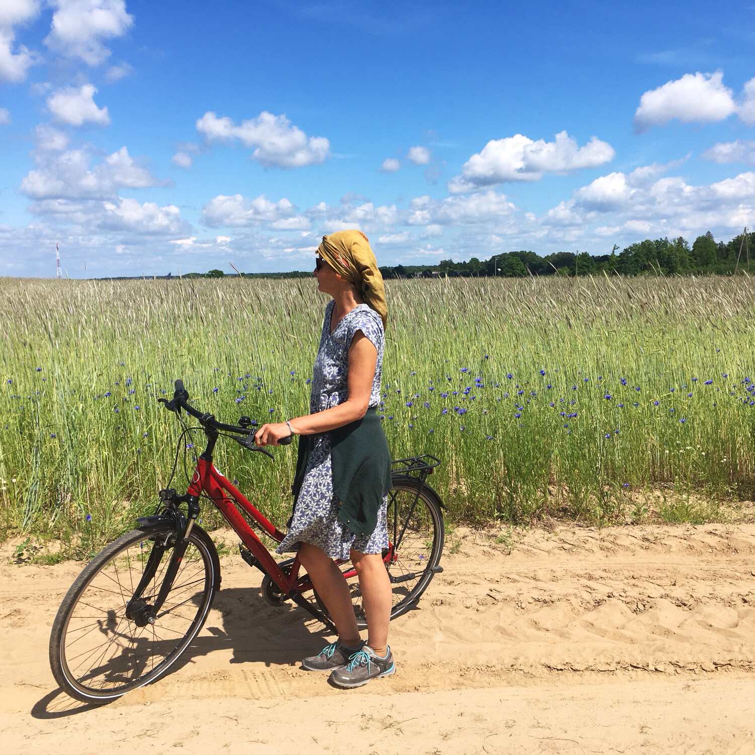 Litauen, Lettland, Estland