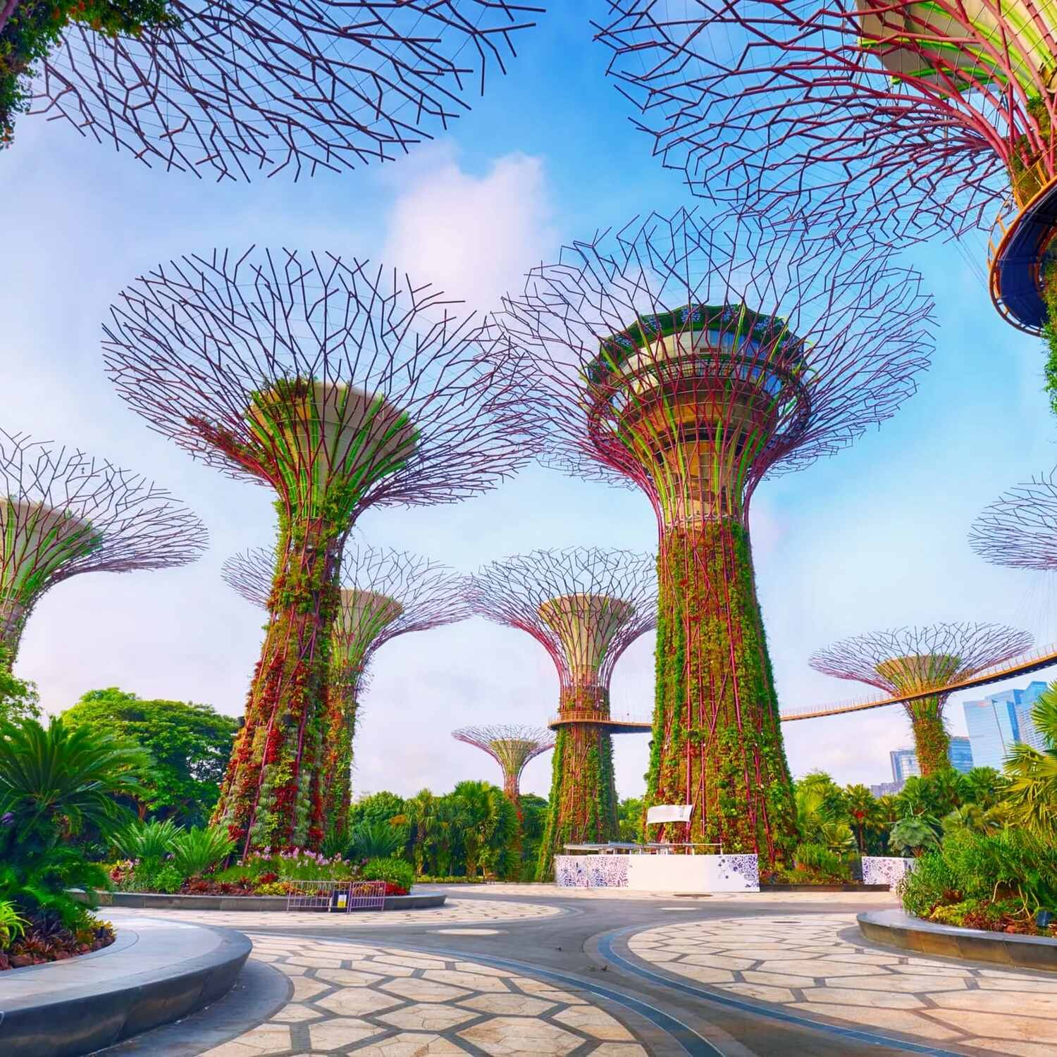 Singapur