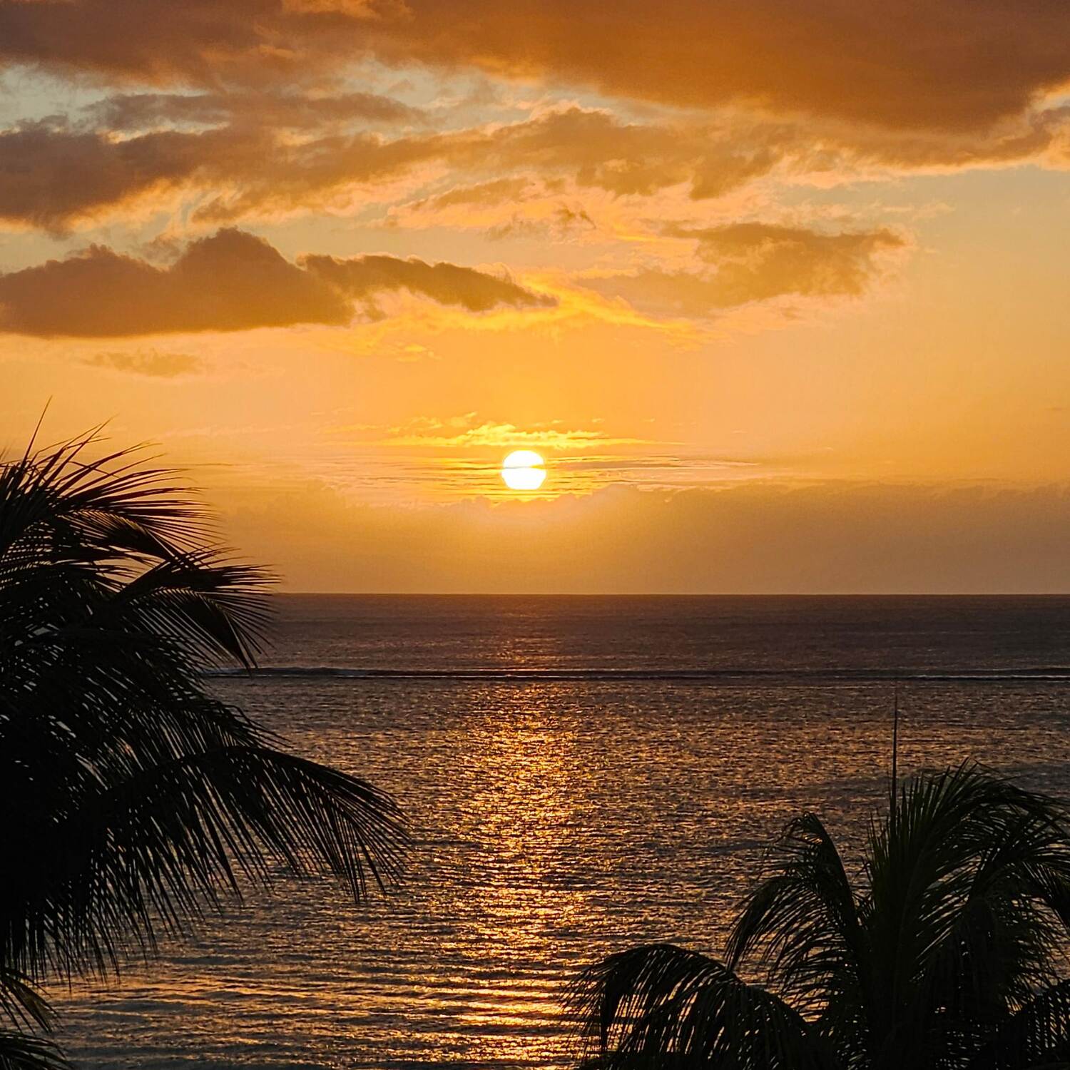 Maurice 2024 2ème partie